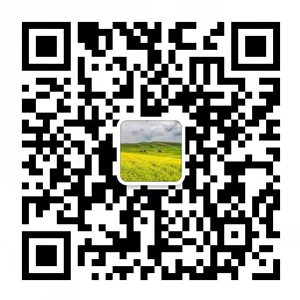 乐动网页版微信